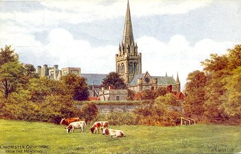 Chichester Cathedral from the Meadows