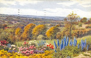 The Kentish Hills from Goodhurst