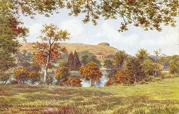 Chanctonbury Ring, from Wiston Pond South Downs