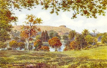 Chanctonbury Ring, from Wiston Pond South Downs