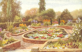 The Aquatic Garden, Kew Gardens.