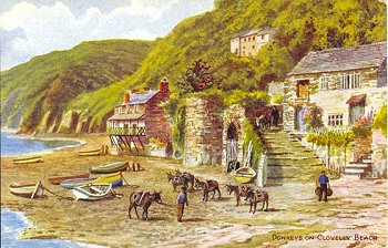 Donkeys on Clovelly Beach