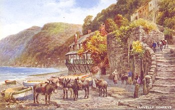 Clovelly Donkeys