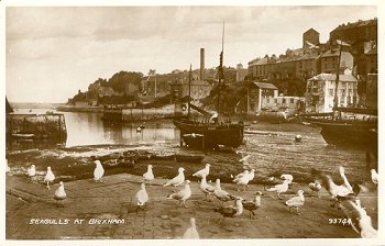 Seagulls at Brixham. 93744