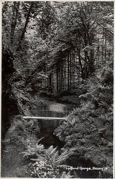 Lydford Gorge. Devon. 5