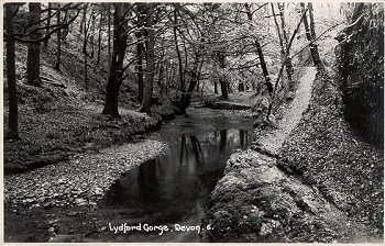 Lydford Gorge, Devon. 6.