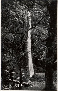 Lydford Gorge. 102.